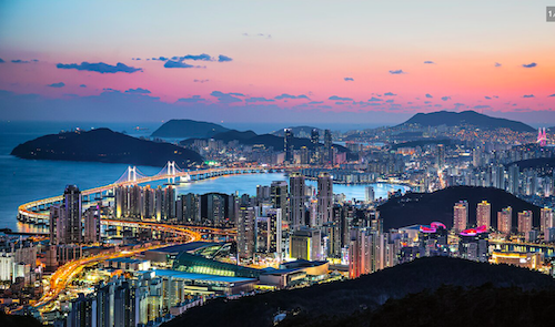 Busan Winter Experience